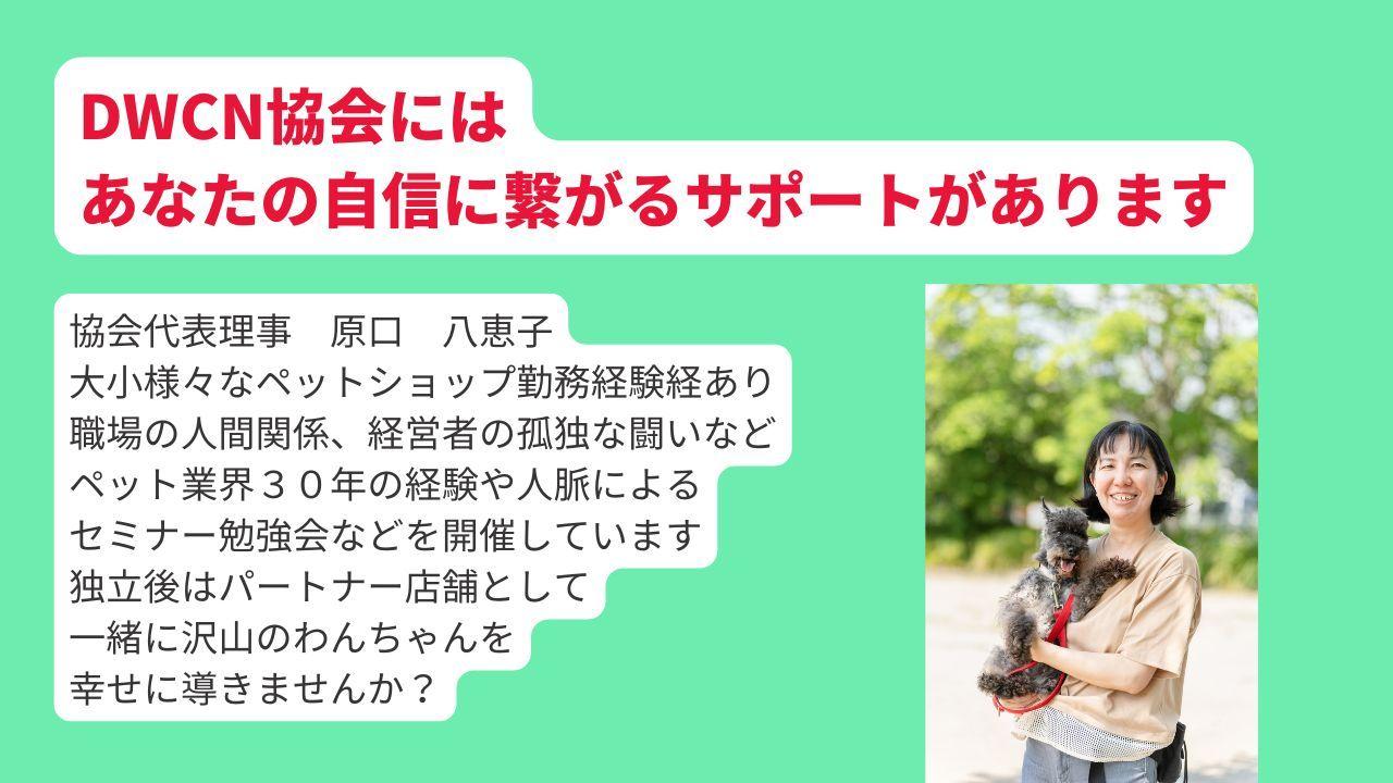 一般社団法人ドッグワーカーコーディネーター協会ではあなたが自信をもって独立できるための支援システムがあります。協会代表理事　原口　八恵子 大小様々なペットショップ勤務経験経あり 職場の人間関係、経営者の孤独な闘いなど ペット業界３０年の経験や人脈による セミナー勉強会などを開催しています 独立後はパートナー店舗として 一緒に沢山のわんちゃんを 幸せに導きませんか？